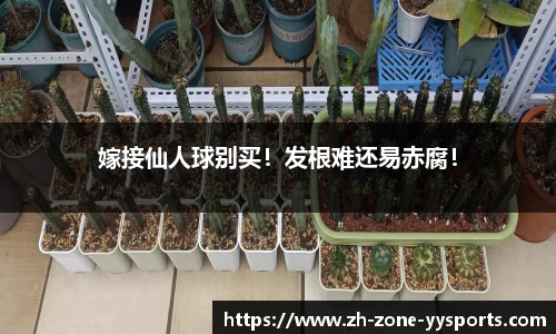 嫁接仙人球别买！发根难还易赤腐！